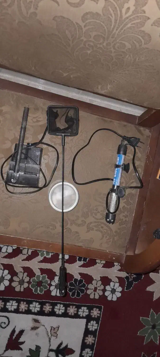 آکواریوم با تمام وسایل|ماهی|اردبیل, |دیوار