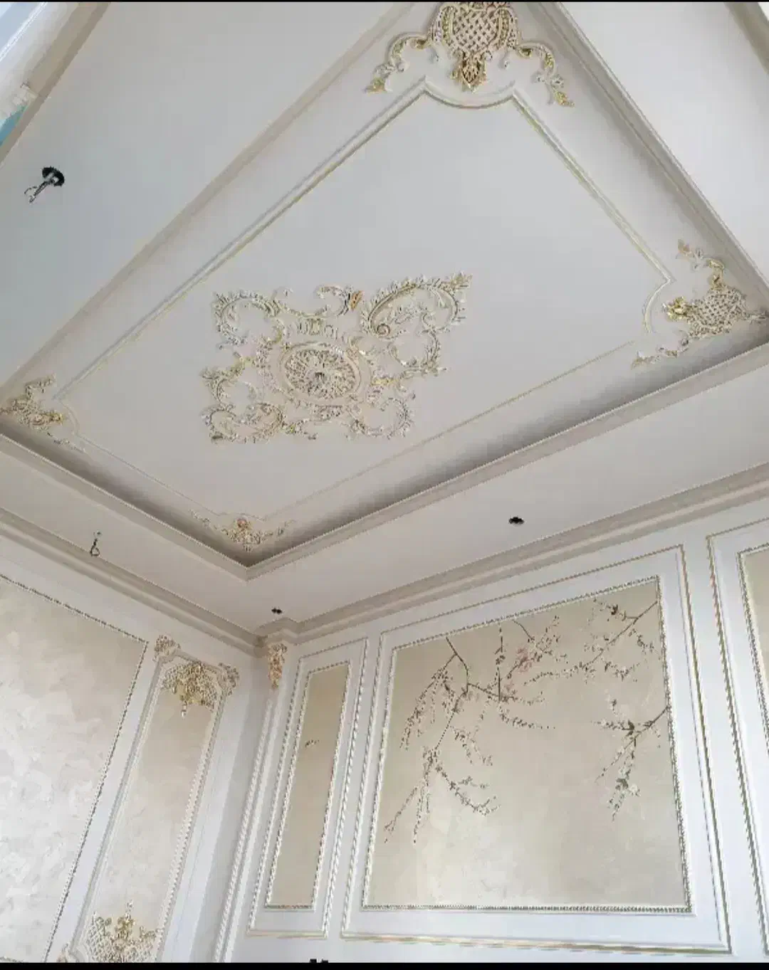 نقاشی ساختمان ونقاشی ساختمان|خدمات پیشه و مهارت|تبریز, |دیوار