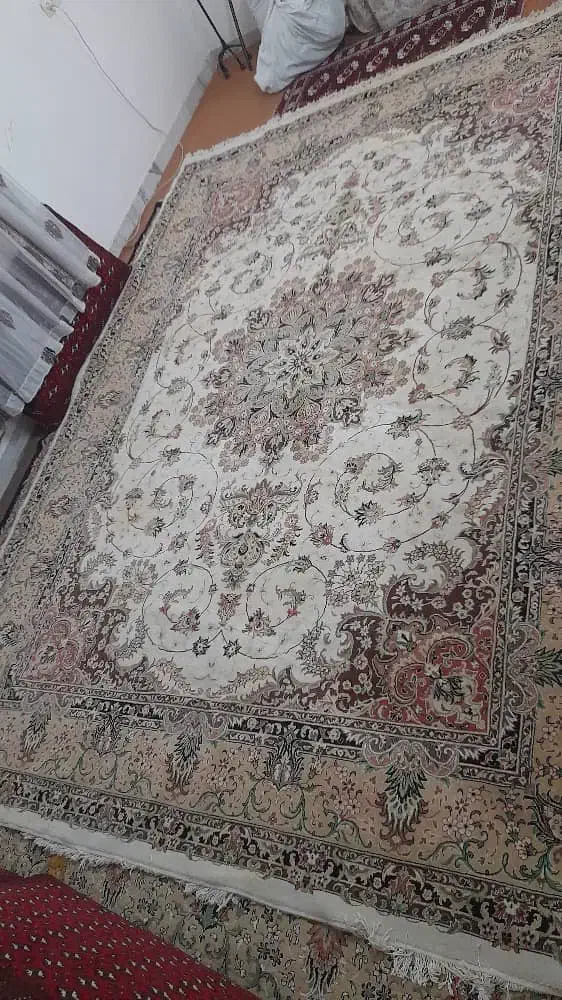 فرش ۱۲ متری|فرش|گنبد کاووس, |دیوار