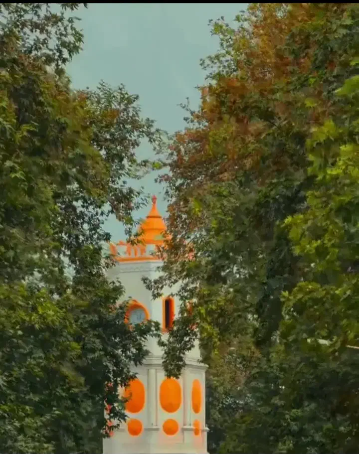 خواهشا راهنمایی کنید|فعالیت داوطلبانه|ساری, |دیوار