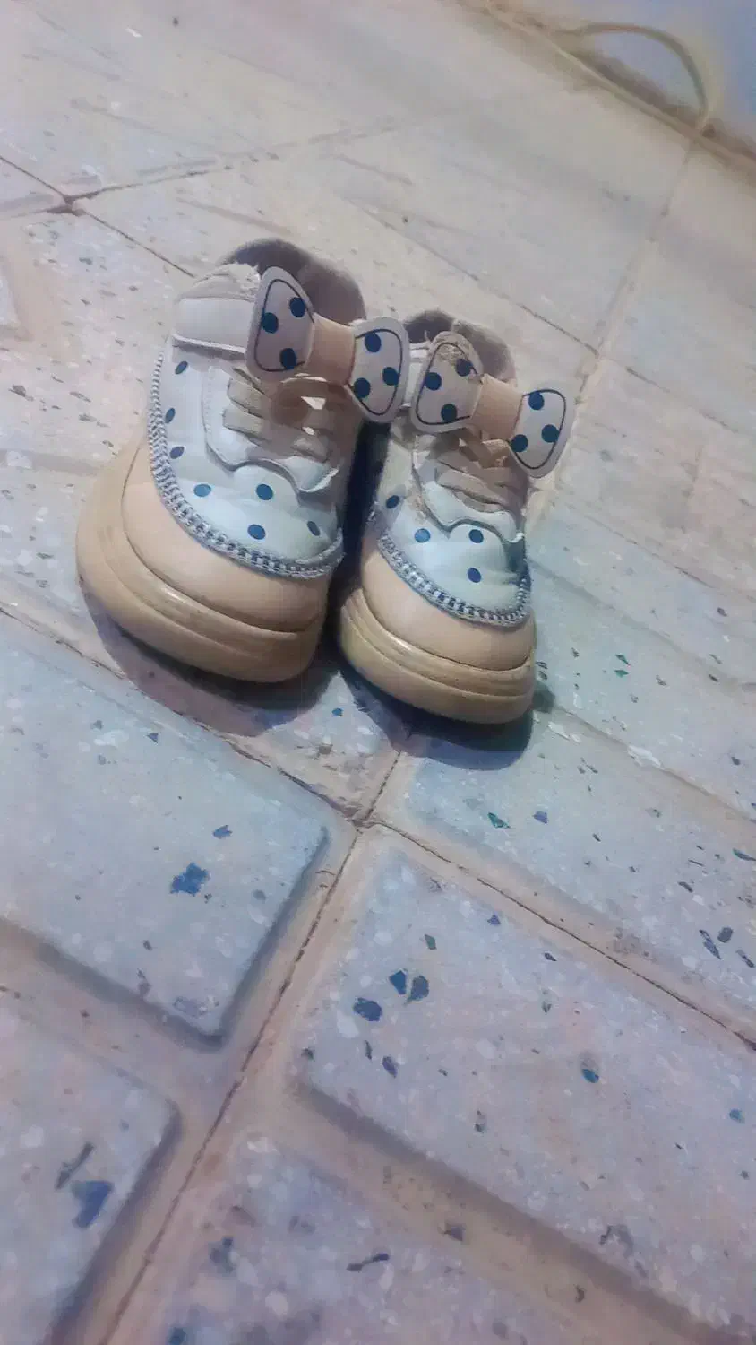 کفش|کیف، کفش، کمربند|تربت جام, بیست متری منبع آب|دیوار