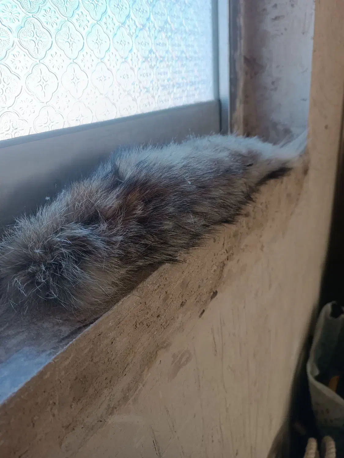 آویز برای ماشین|قطعات یدکی و لوازم جانبی|خسروشاه, |دیوار