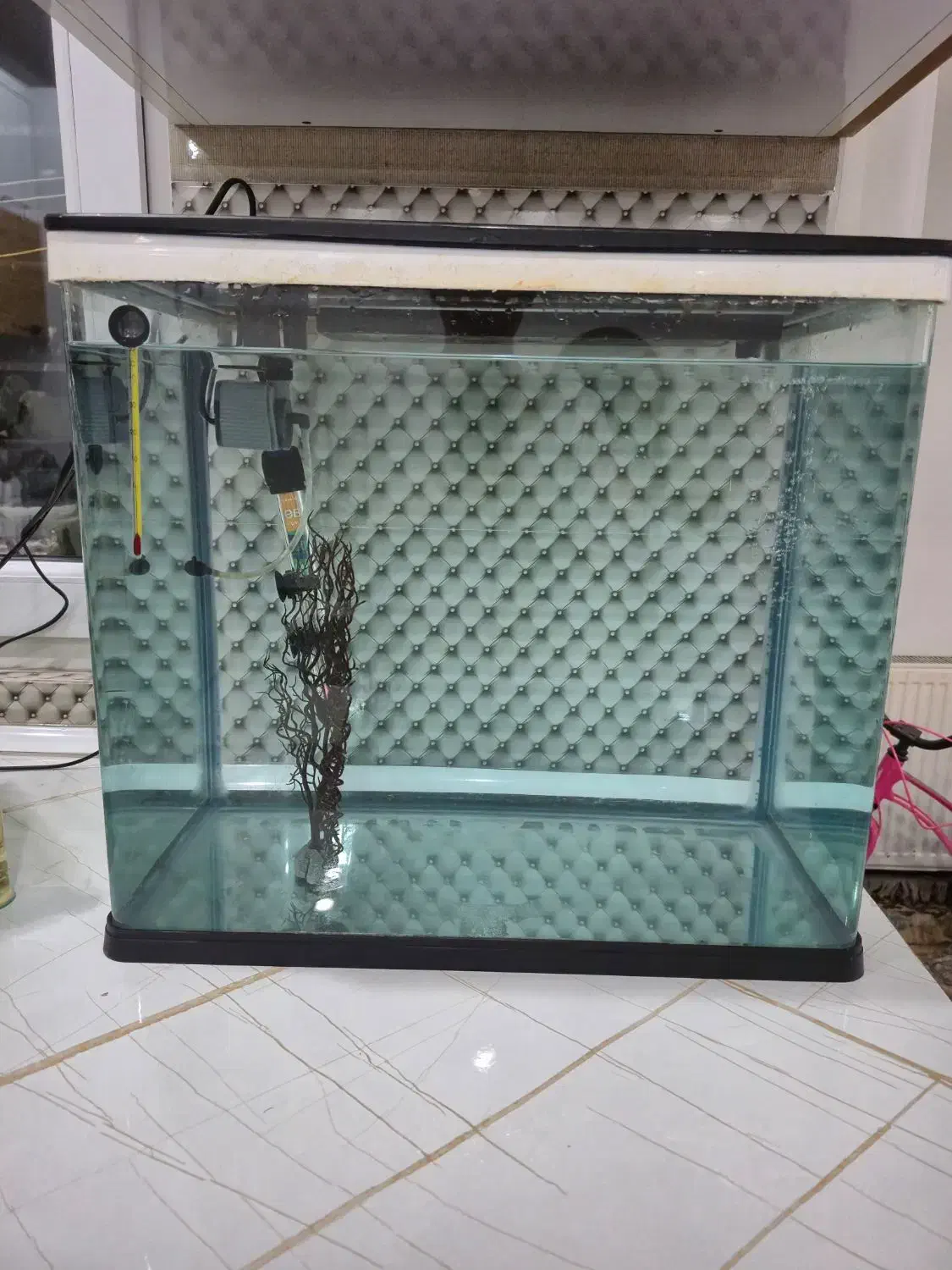 آکواریوم کامل دلسا همراه با ماهی|ماهی|فردیس, شهرک وحدت|دیوار