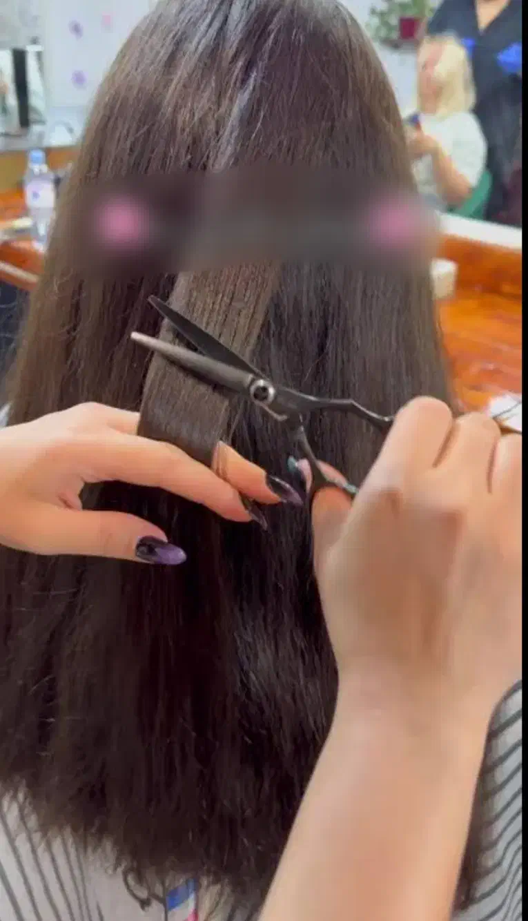 جشنواره موخوره گیریِ روسی|فعالیت داوطلبانه|اردکان, |دیوار