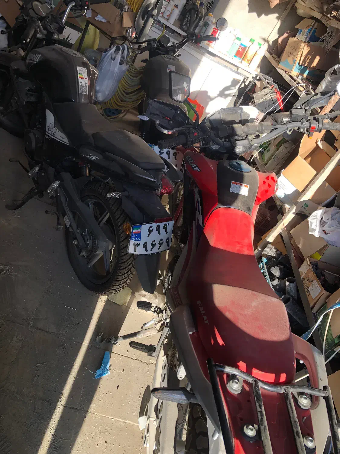 موتور سیکلت فلات تریل ایکس ار ۲۵۰ سی سی|موتورسیکلت|نیریز, |دیوار