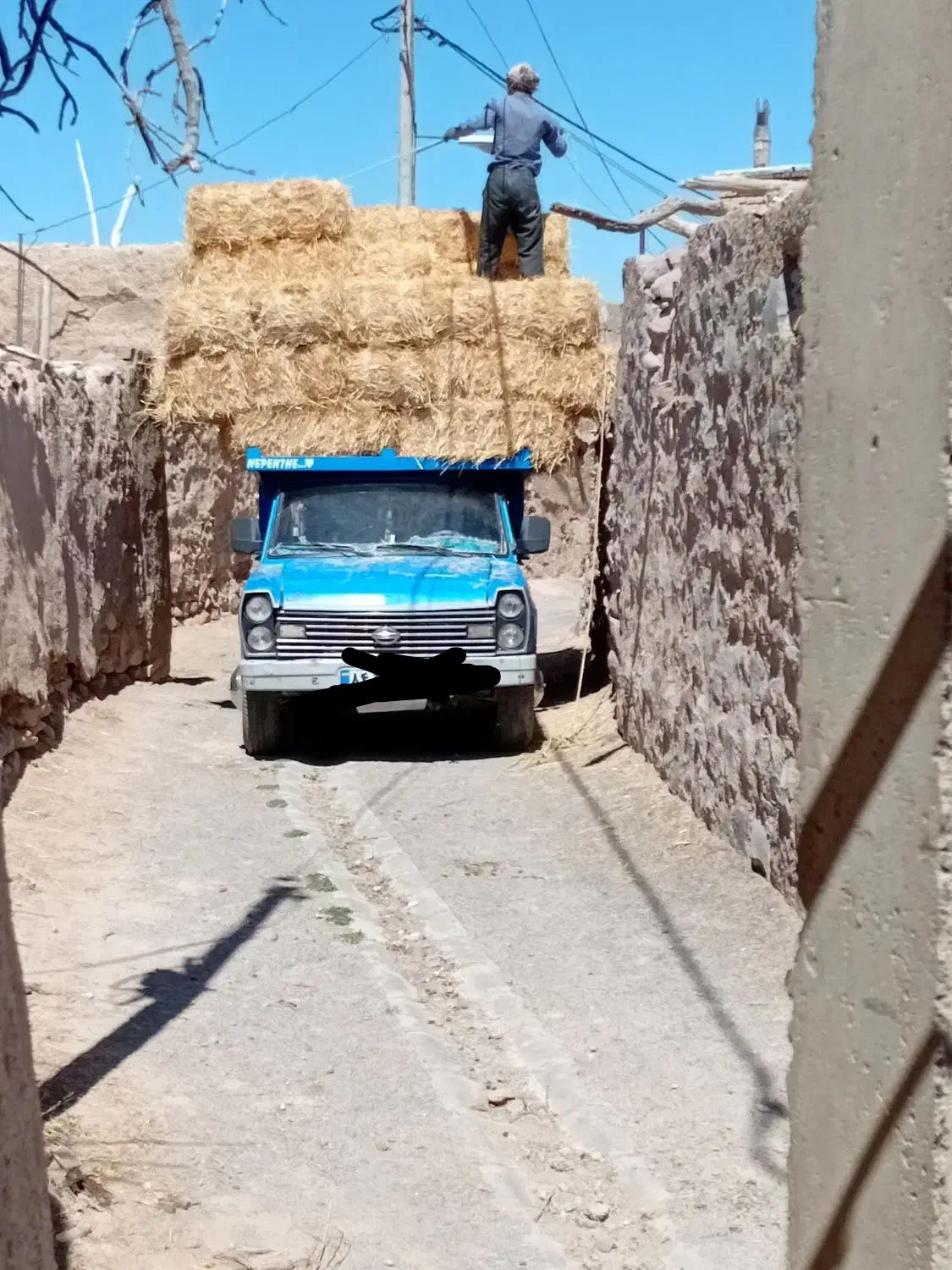 پرس گندم شمال|عمده‌فروشی|آبکوه, |دیوار