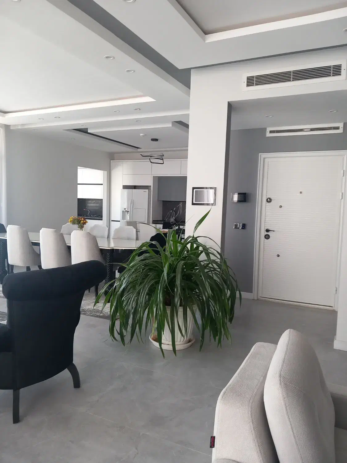 گل پاندانوس|گل و گیاه طبیعی|مشهد, شهید رضوی|دیوار