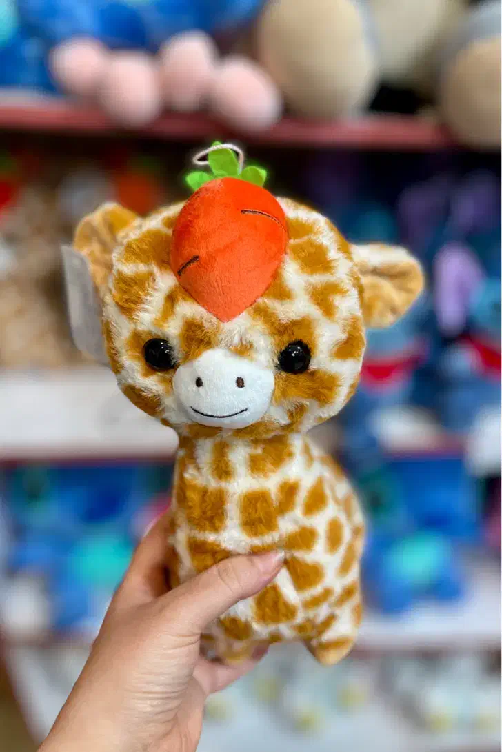 عروسک ارزان|اسباب‌بازی بچه|رشت, آب و برق|دیوار