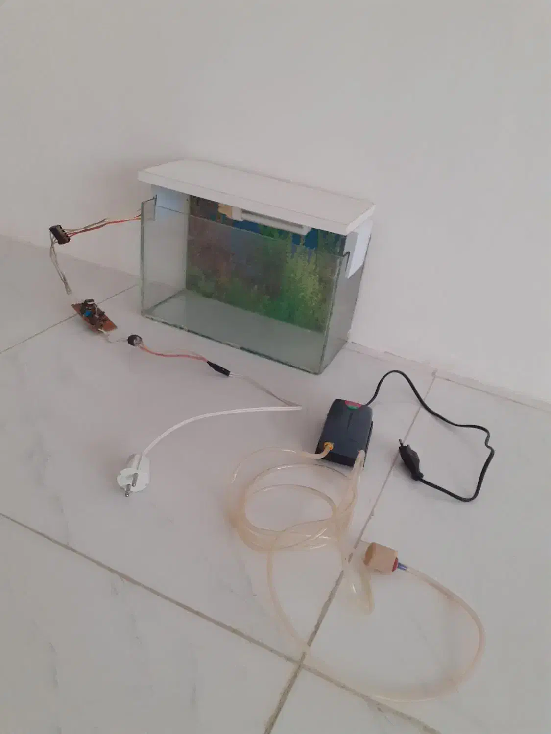 آکواریوم.|ماهی|سنندج, |دیوار