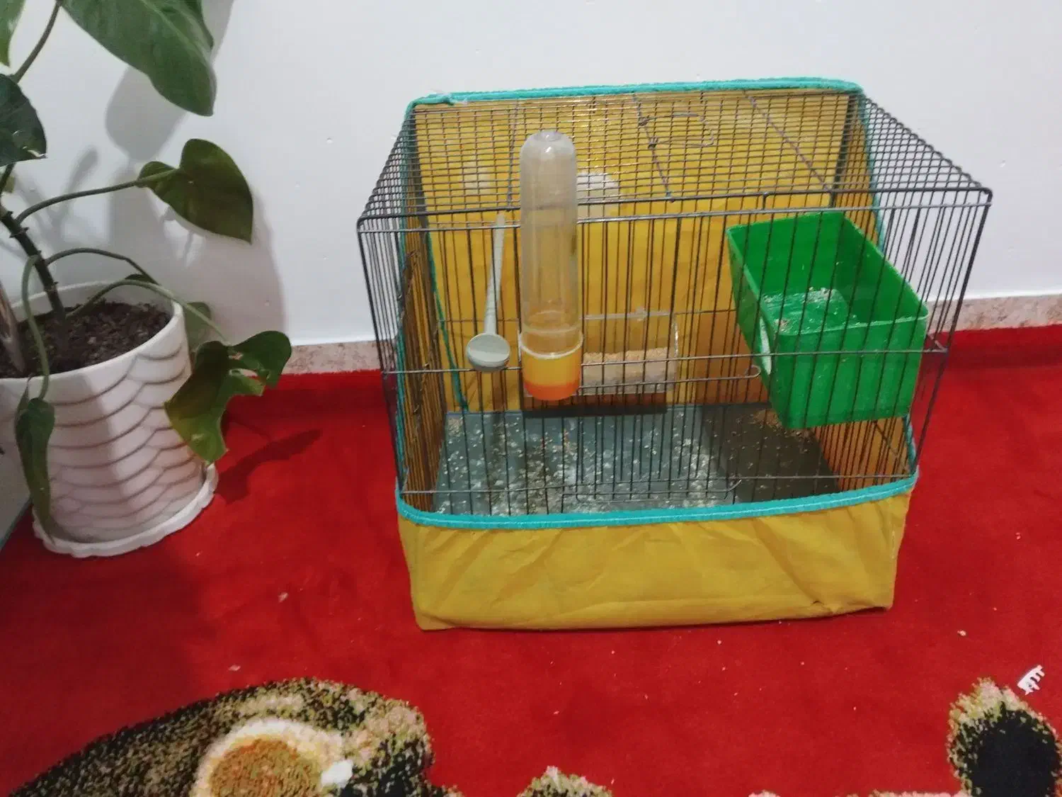 قفس پرنده|لوازم جانبی حیوانات|کرمانشاه, |دیوار