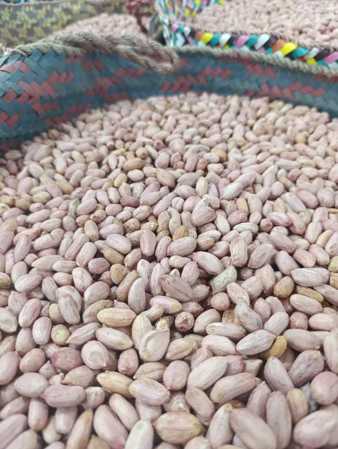 بادام،کره بادام،آجیل و خشکبار، برنج|عمدهفروشی|آستانه اشرفیه, |دیوار