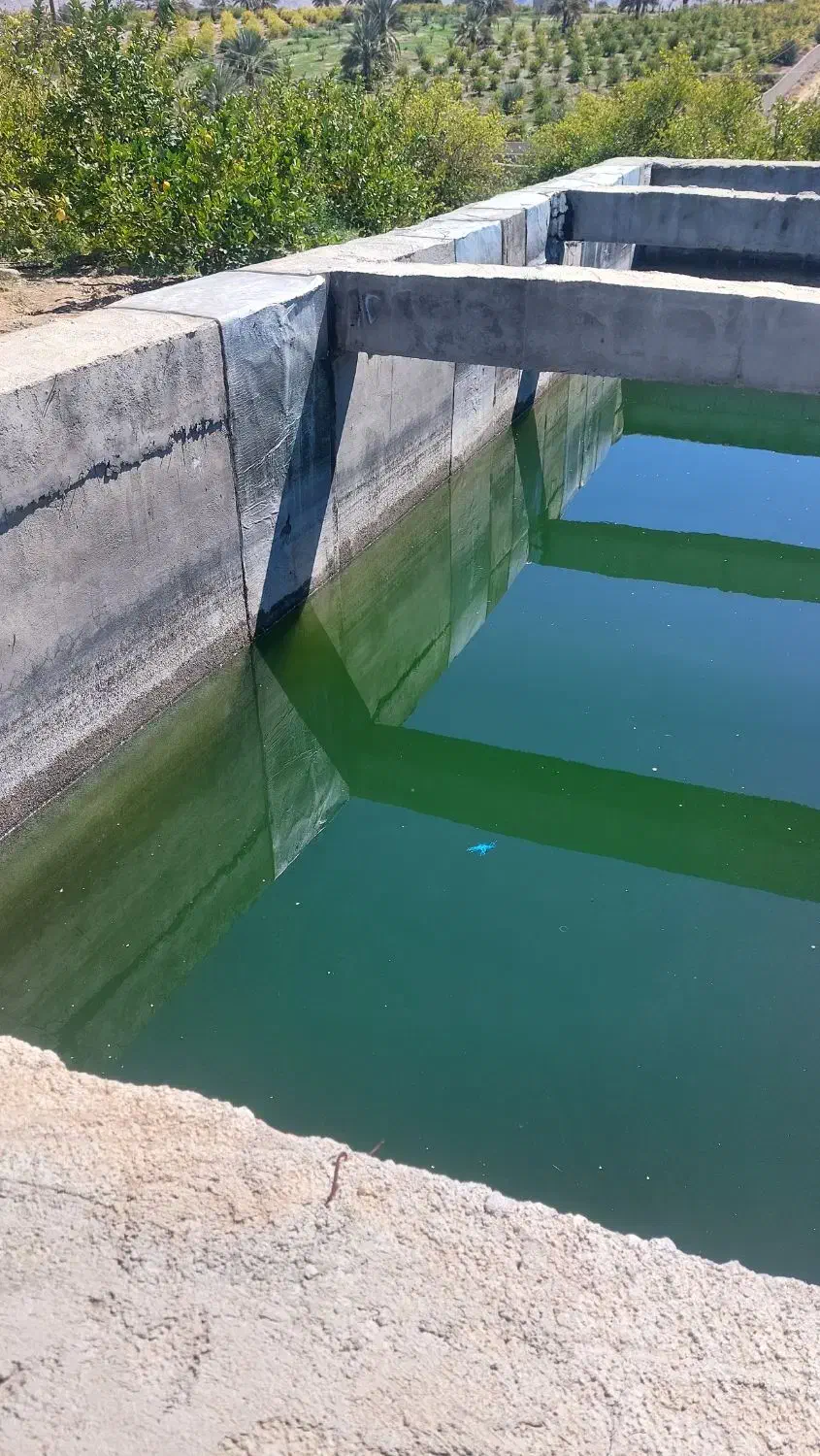 کار پرورش ماهی یا گلخانه مشارکتی|ماهی|جهرم, |دیوار