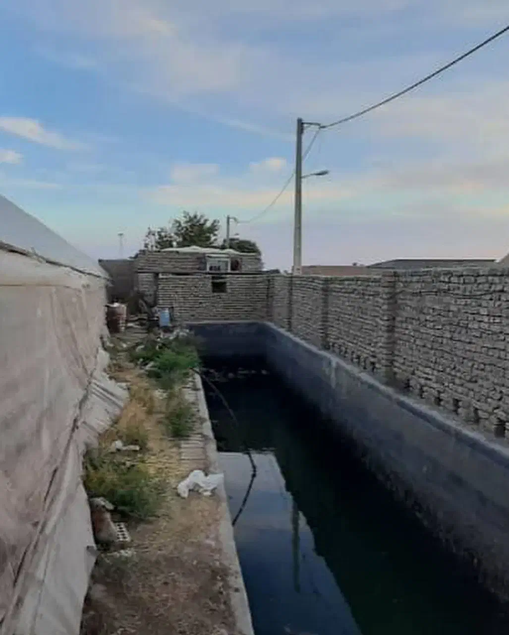 فروش گلخانه|فروش دفتر صنعتی، کشاورزی، تجاری|سمنان, |دیوار