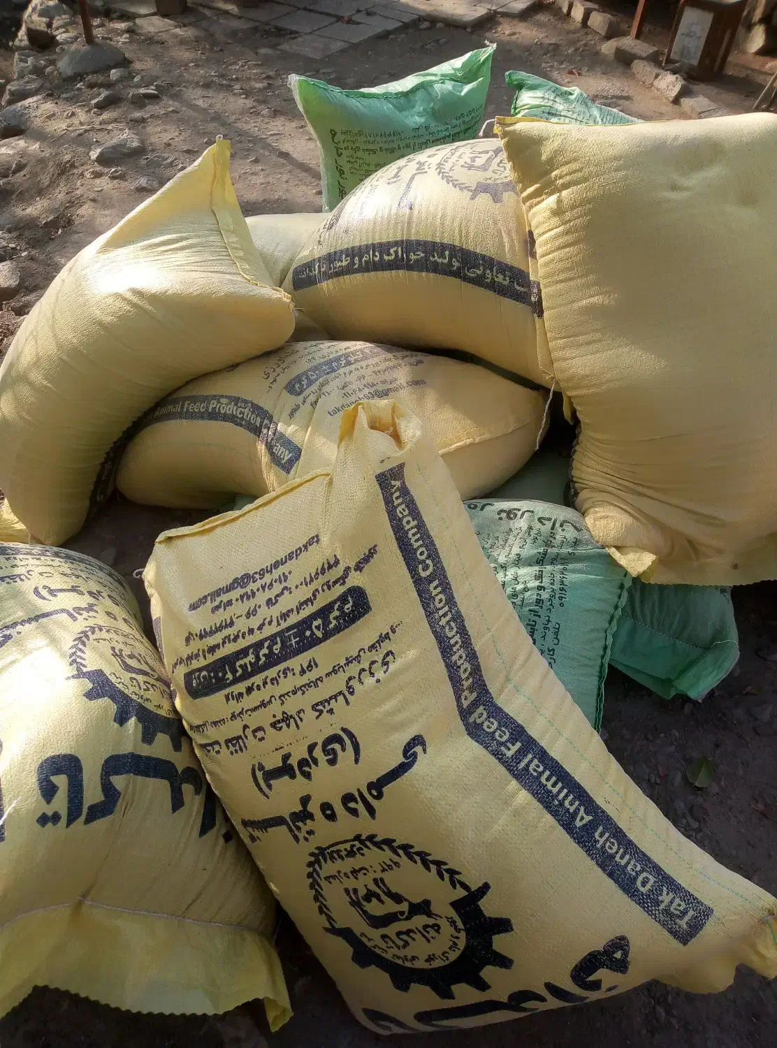 خوارک دام|حیوانات مزرعه|زالیان, |دیوار