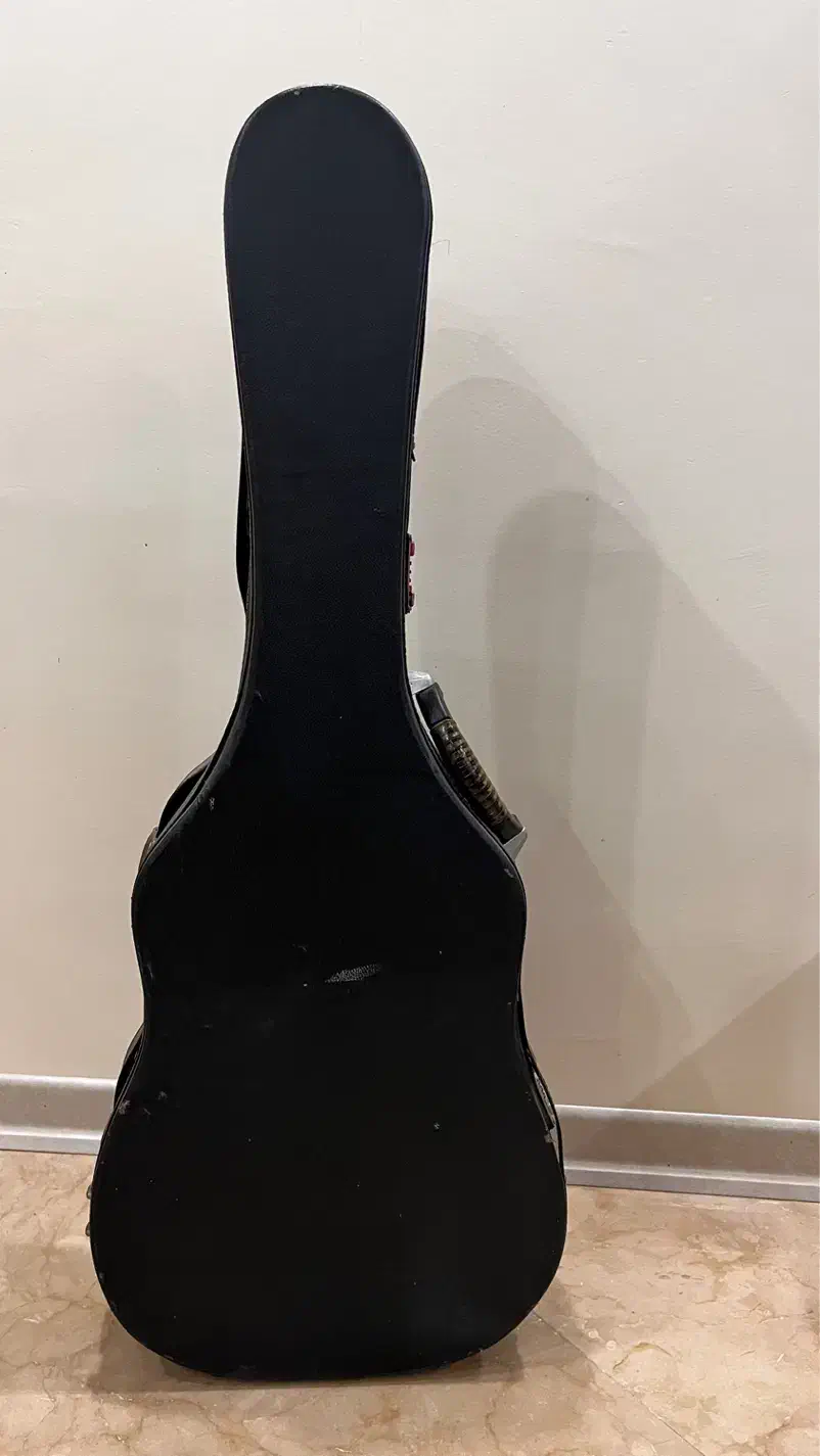 گیتار همراه با سافت کیس و پایه در حد نو|گیتار، بیس، امپلیفایر|تهران, سوهانک|دیوار