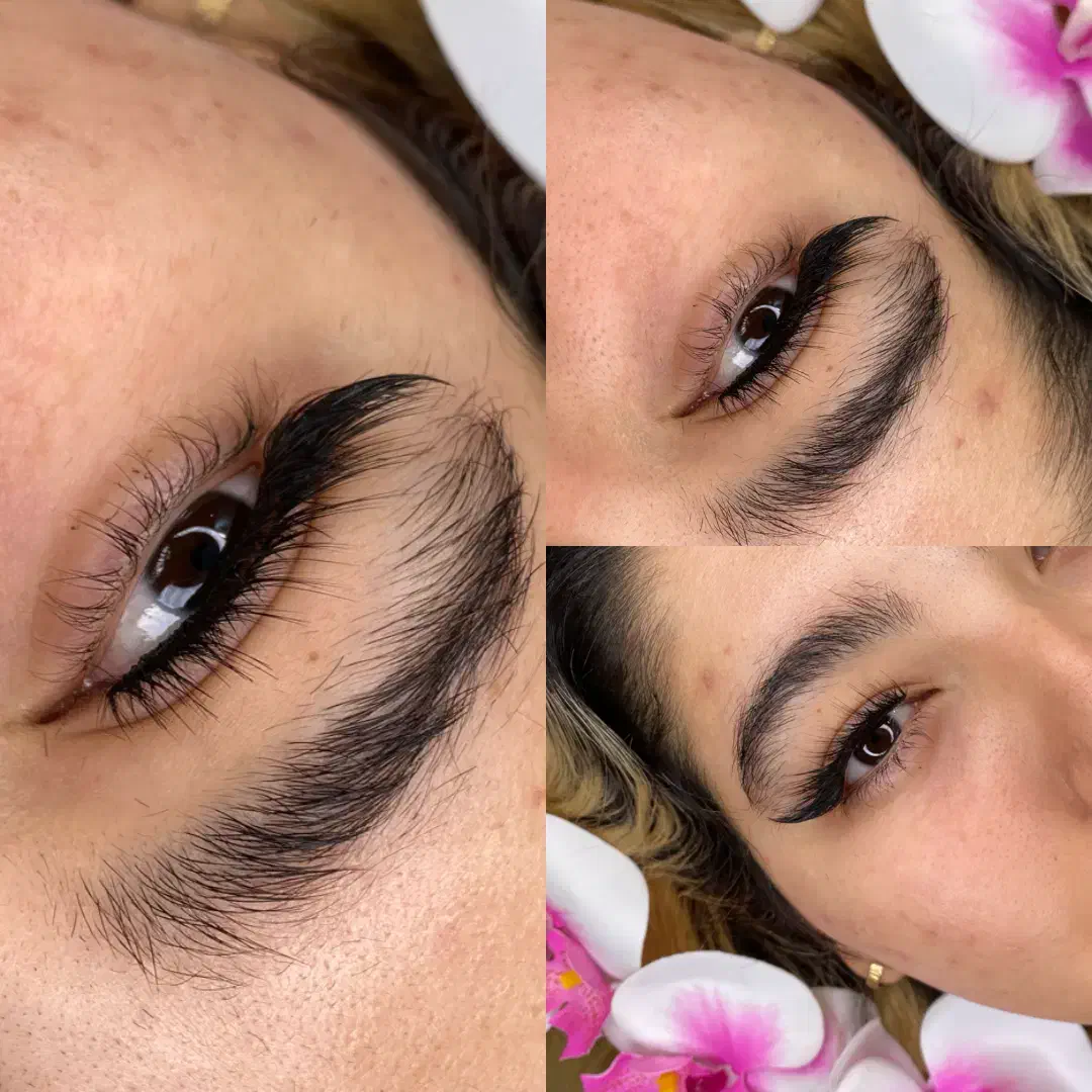 ورکشاپ آموزشی لاین مژه در اصفهان|خدمات آموزشی|اصفهان, ملکشهر|دیوار