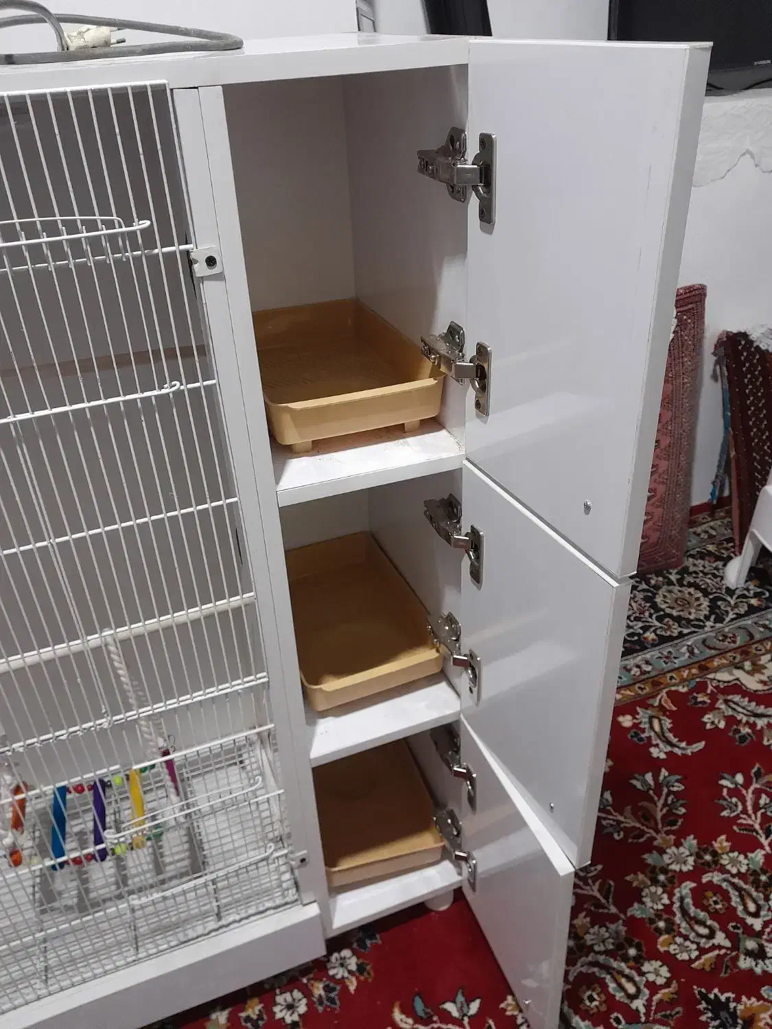 قفس عروس|حیوانات مزرعه|آشتیان, |دیوار