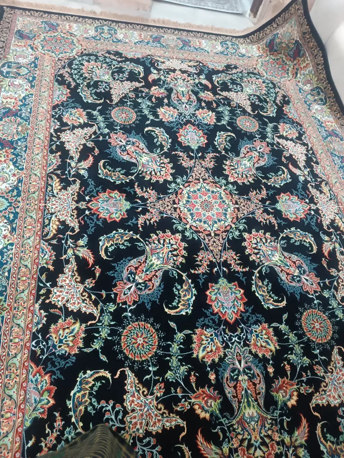 فرش|فرش|بندرعباس, |دیوار