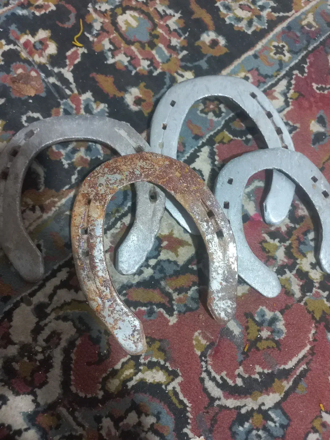 نعل اسب|اسب و تجهیزات اسبسواری|مشهد, بهمن|دیوار