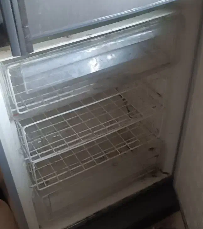 یخچال پانیسا|یخچال و فریزر|اردبیل, |دیوار