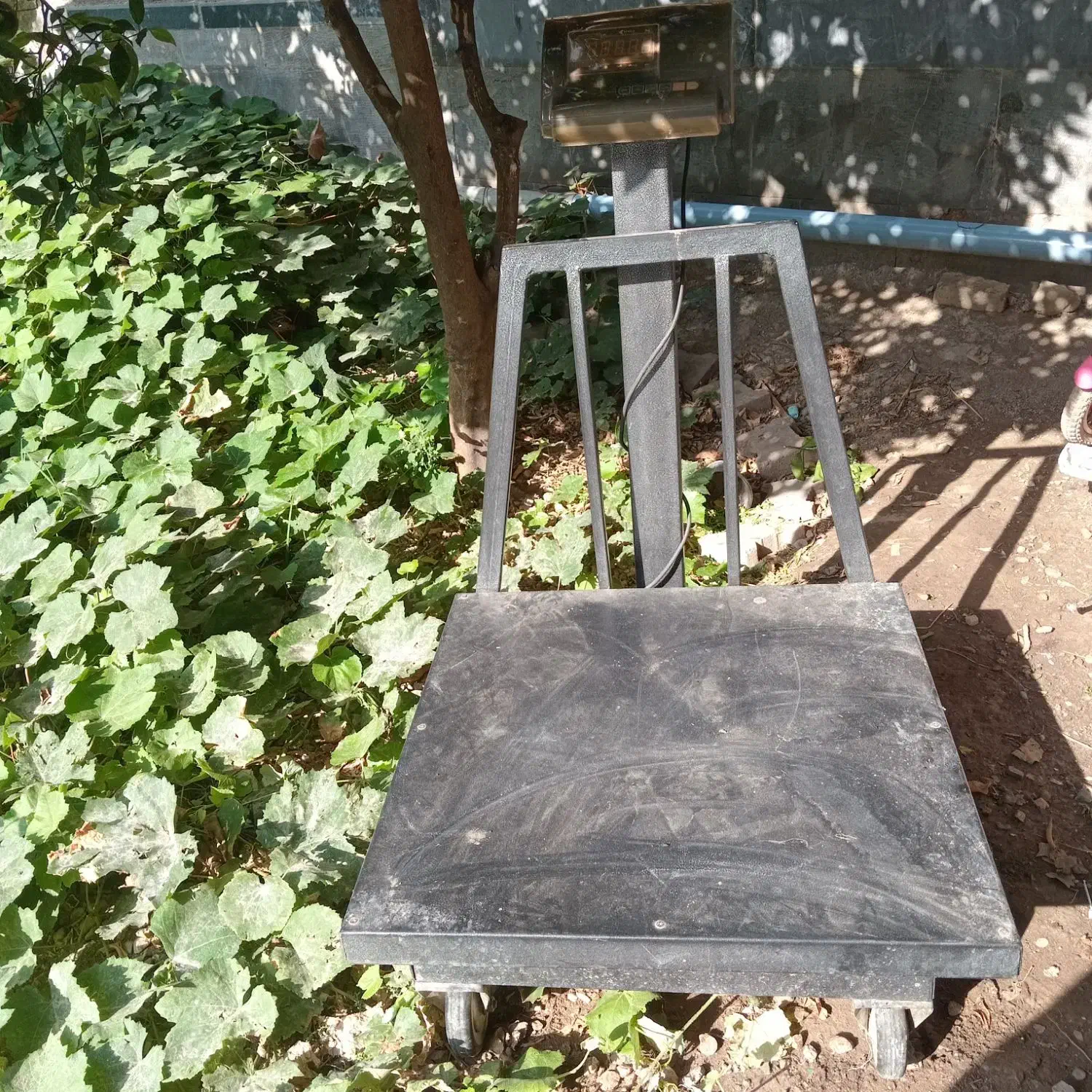 ترازوی باسکولی|فروشگاه و مغازه|کردکوی, |دیوار