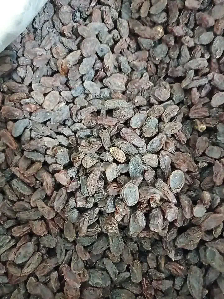 کشمش|خوردنی و آشامیدنی|خرمآباد, |دیوار