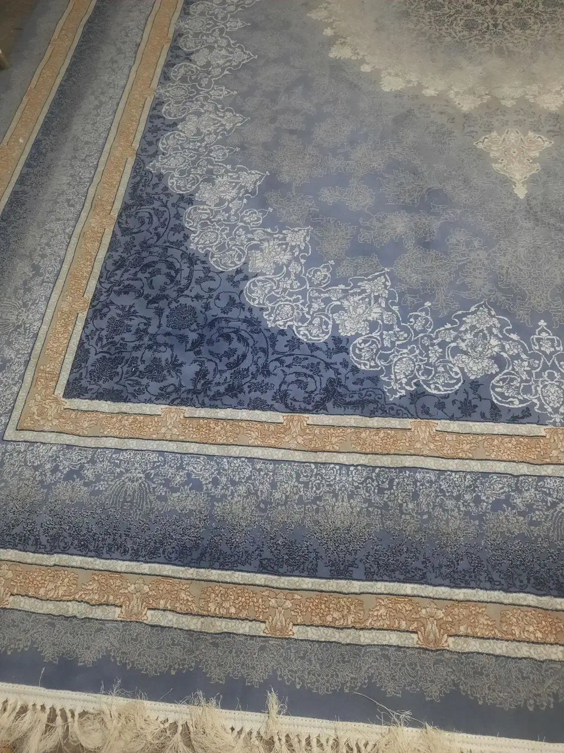 قالی و مبل|فرش|تربت جام, حافظ|دیوار