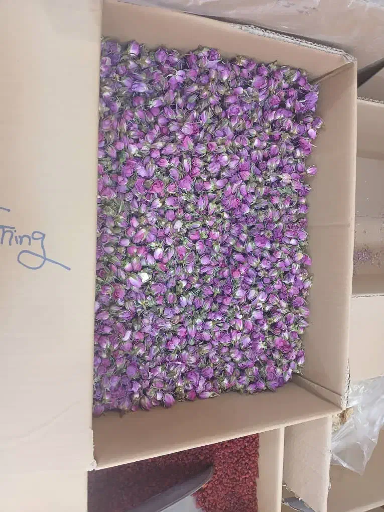 / پکیج رهایی از تنش عصبی|آرایشی، بهداشتی، درمانی|گنبد کاووس, |دیوار