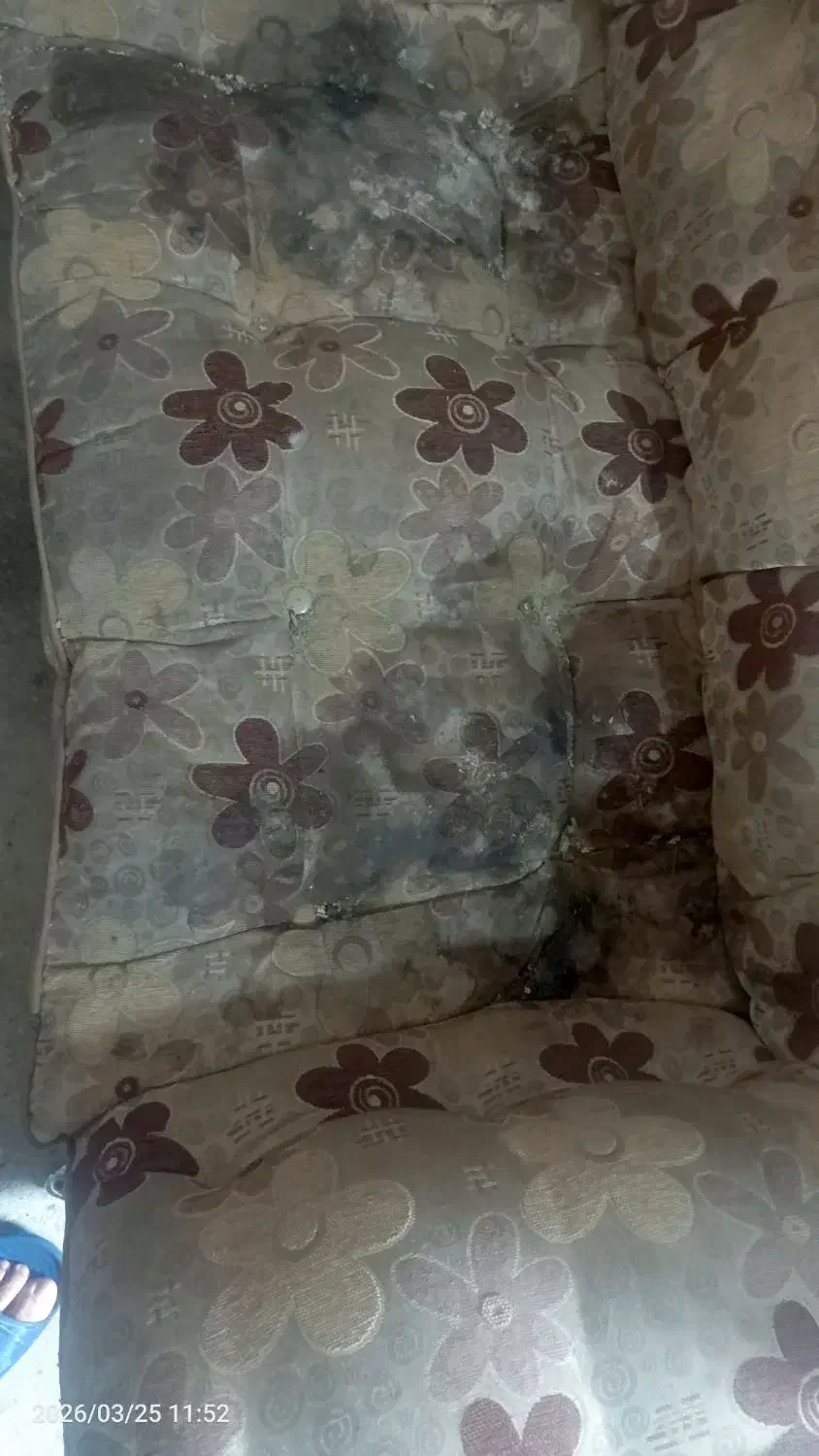 مبلمان|مبلمان خانگی و میز عسلی|قم, عربستان|دیوار