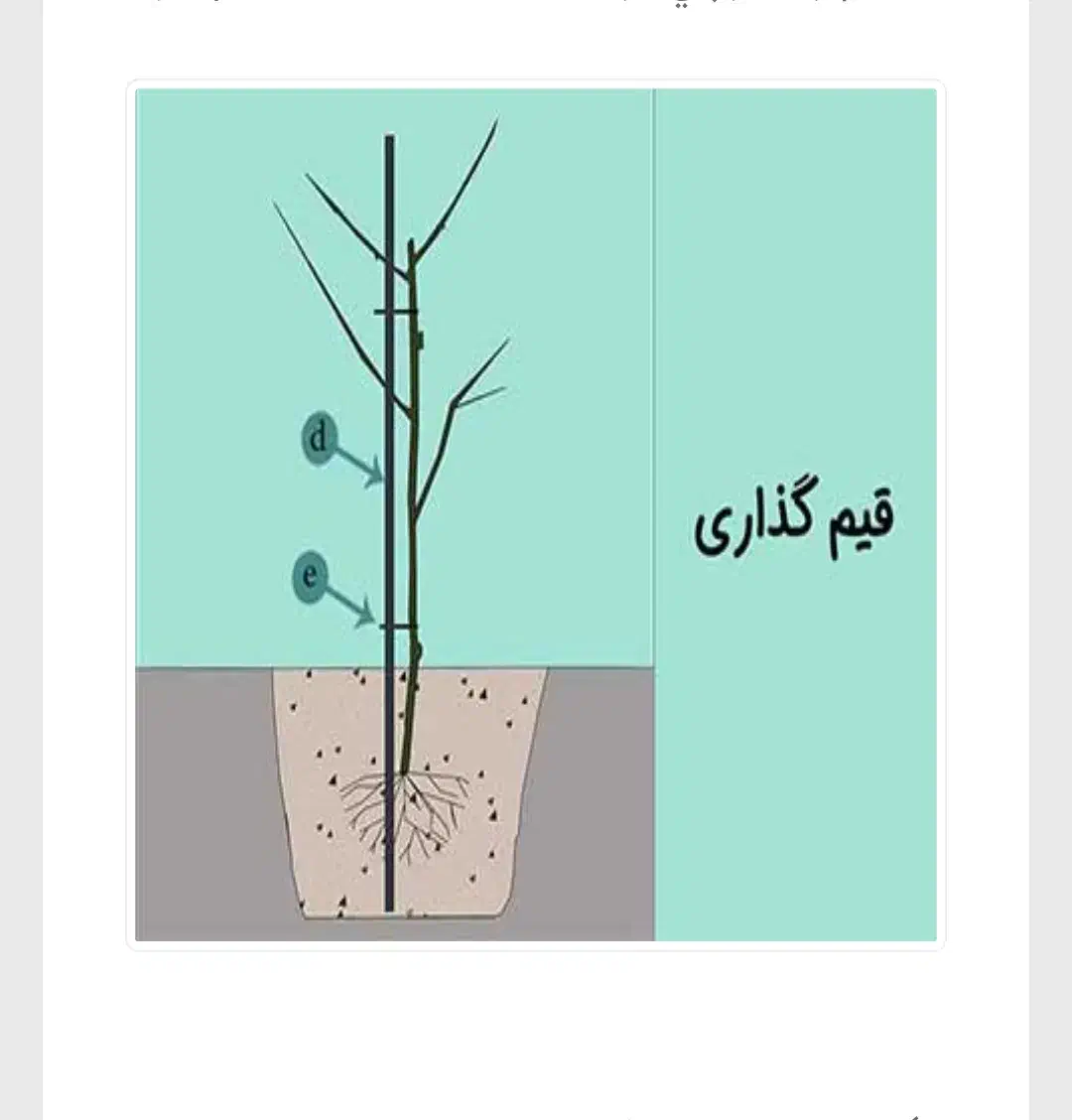 انجام خدمات باغی و زراعی|خدمات باغبانی و درختکاری|شازند, |دیوار