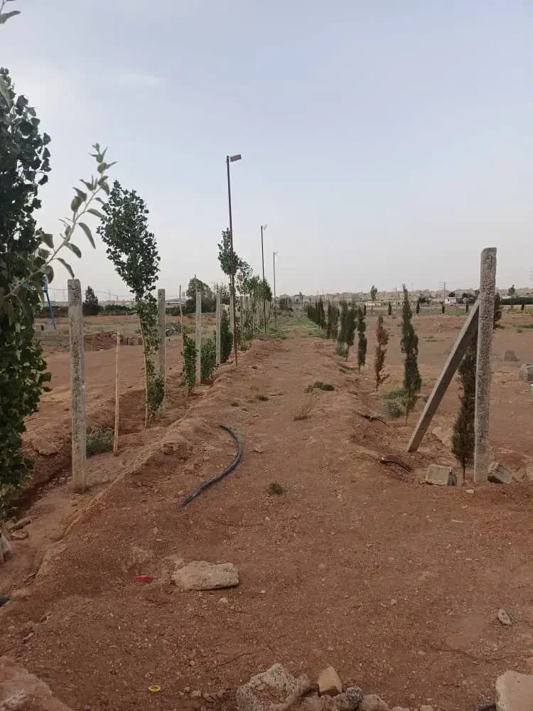 زمین باغی دارای مجوز جهاد|فروش زمین و ملک کلنگی|رباطکریم, الارد|دیوار