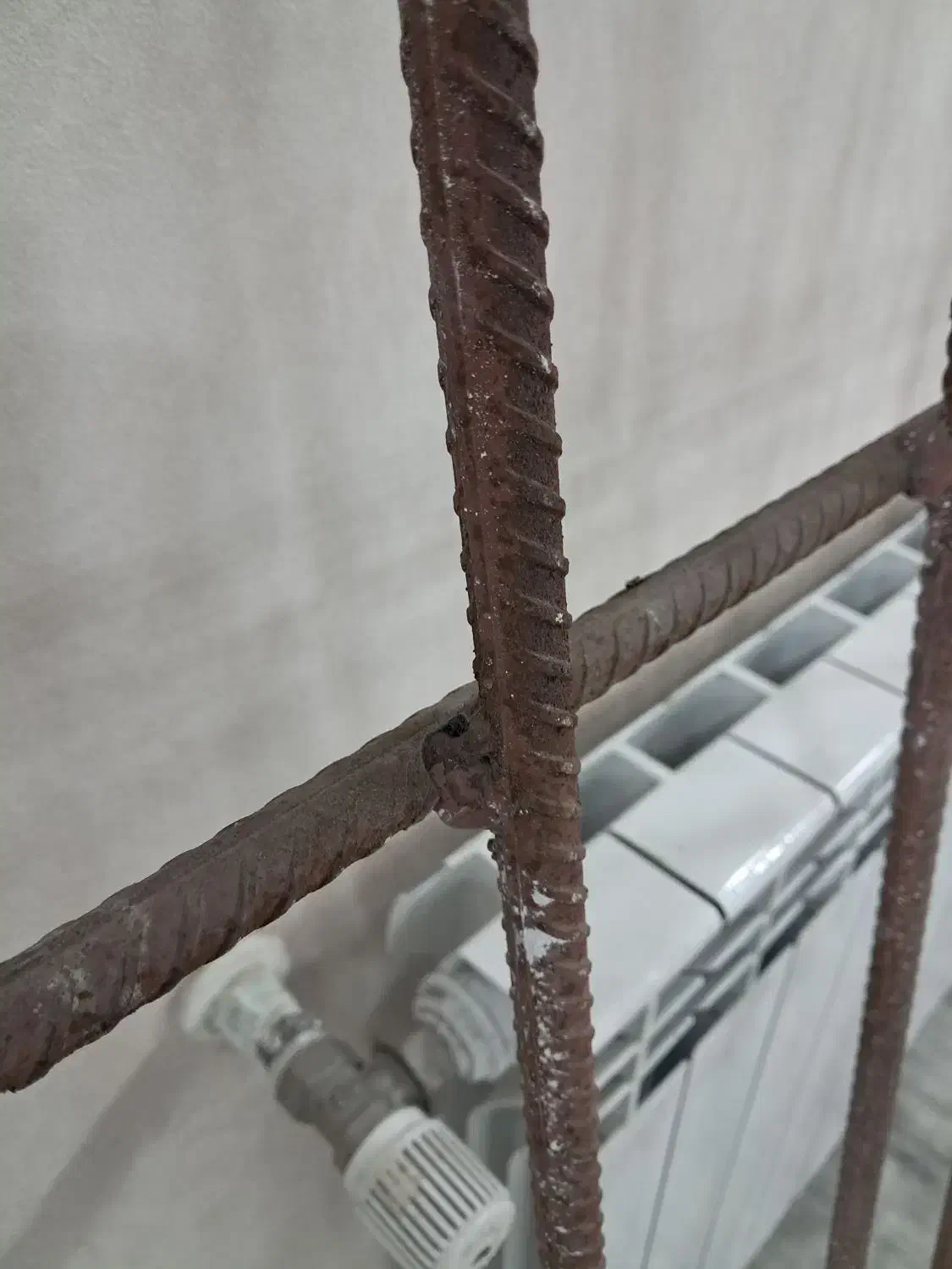 حفاظ ثابت  تراس و پنجره و درب|مصالح و تجهیزات ساختمان|رشت, کاکتوس|دیوار