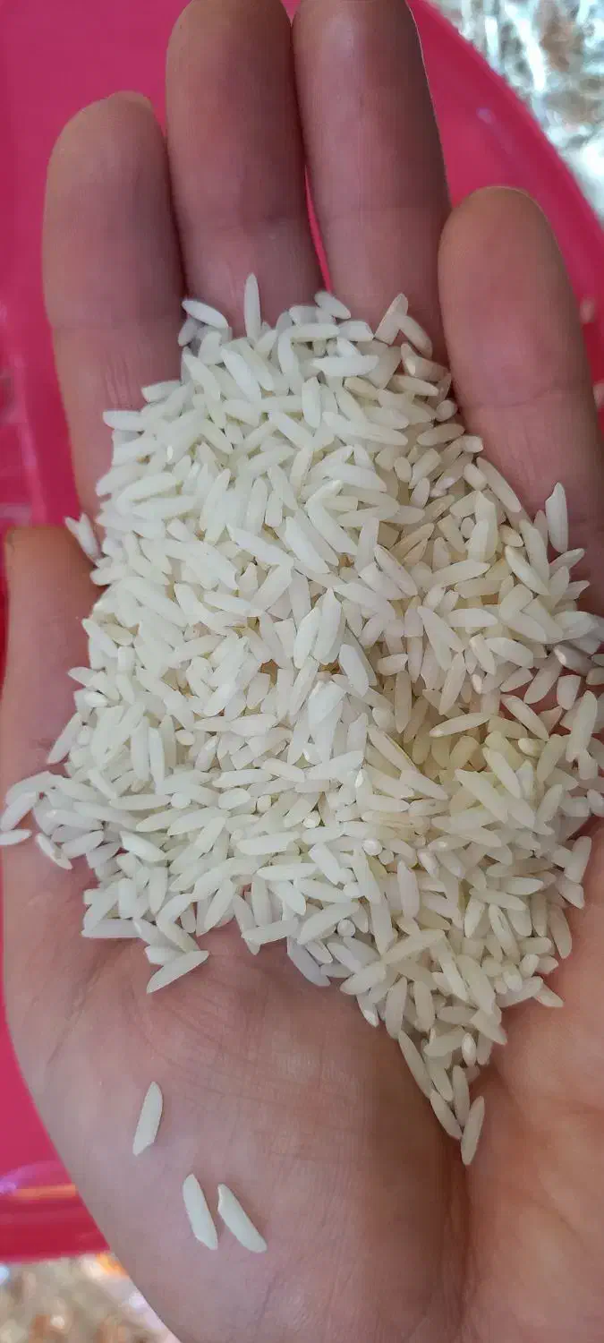 برنج هاشمی اصل|خوردنی و آشامیدنی|لاهیجان, یحی آباد|دیوار