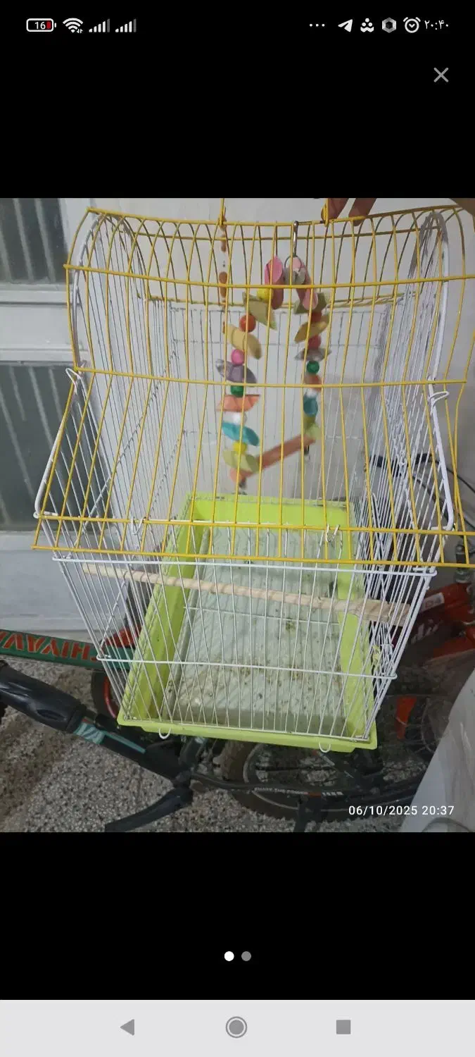 قفس پرنده|لوازم جانبی حیوانات|تربت‌حیدریه, کاشانی|دیوار