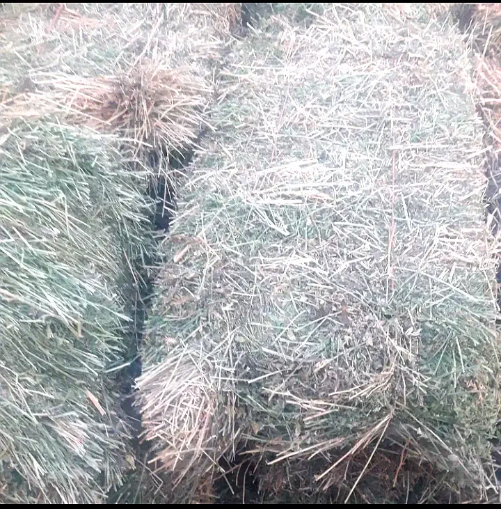 یونجه|عمده‌فروشی|سراب, |دیوار