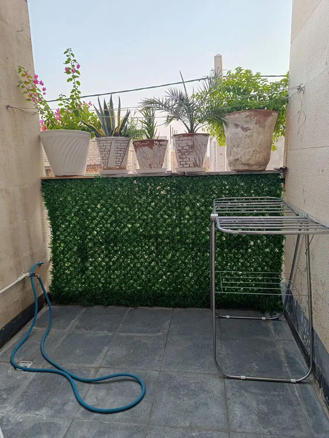 یه تیکه چمن جلو تراسی یا استفاده برای دیوار|گل مصنوعی|ساوه, |دیوار