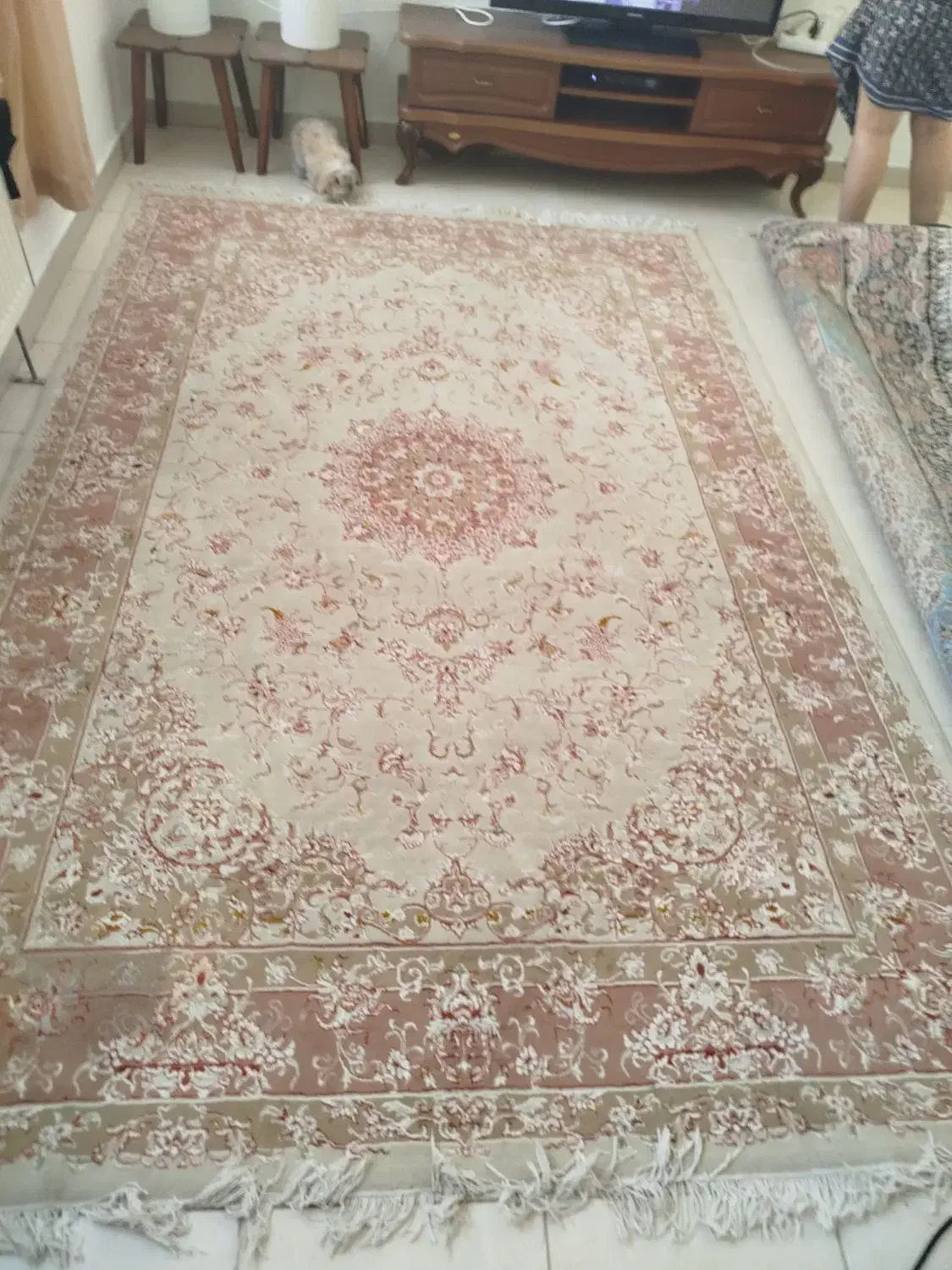 باسلام فروش فرش شش متری. کرم|فرش|زرندیه, |دیوار