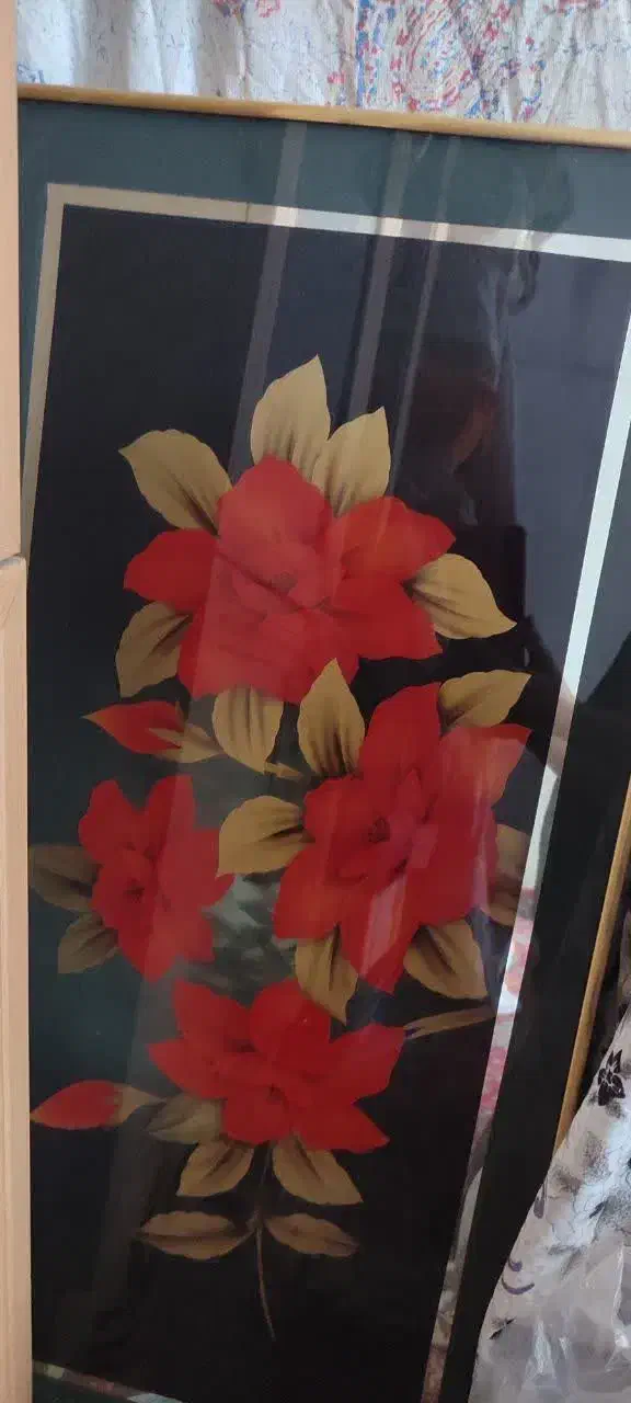 چند عدد وسیله|ظروف سرو و پذیرایی|سبزوار, رضوی|دیوار