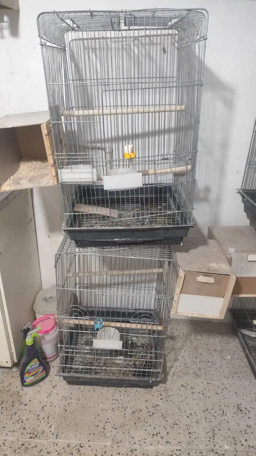 قفس عروس هلندی  و طوطی 1033|لوازم جانبی حیوانات|مشکین‌دشت, |دیوار