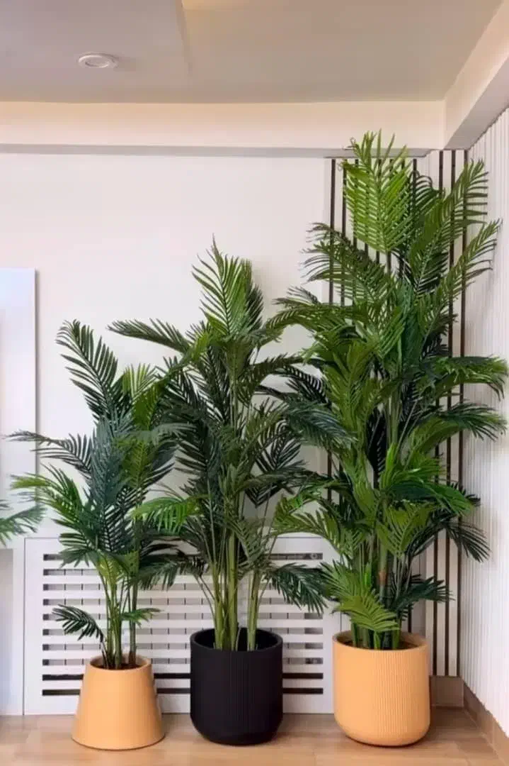 درخچه مصنوعی فینیکس|گل مصنوعی|شهرکرد, |دیوار