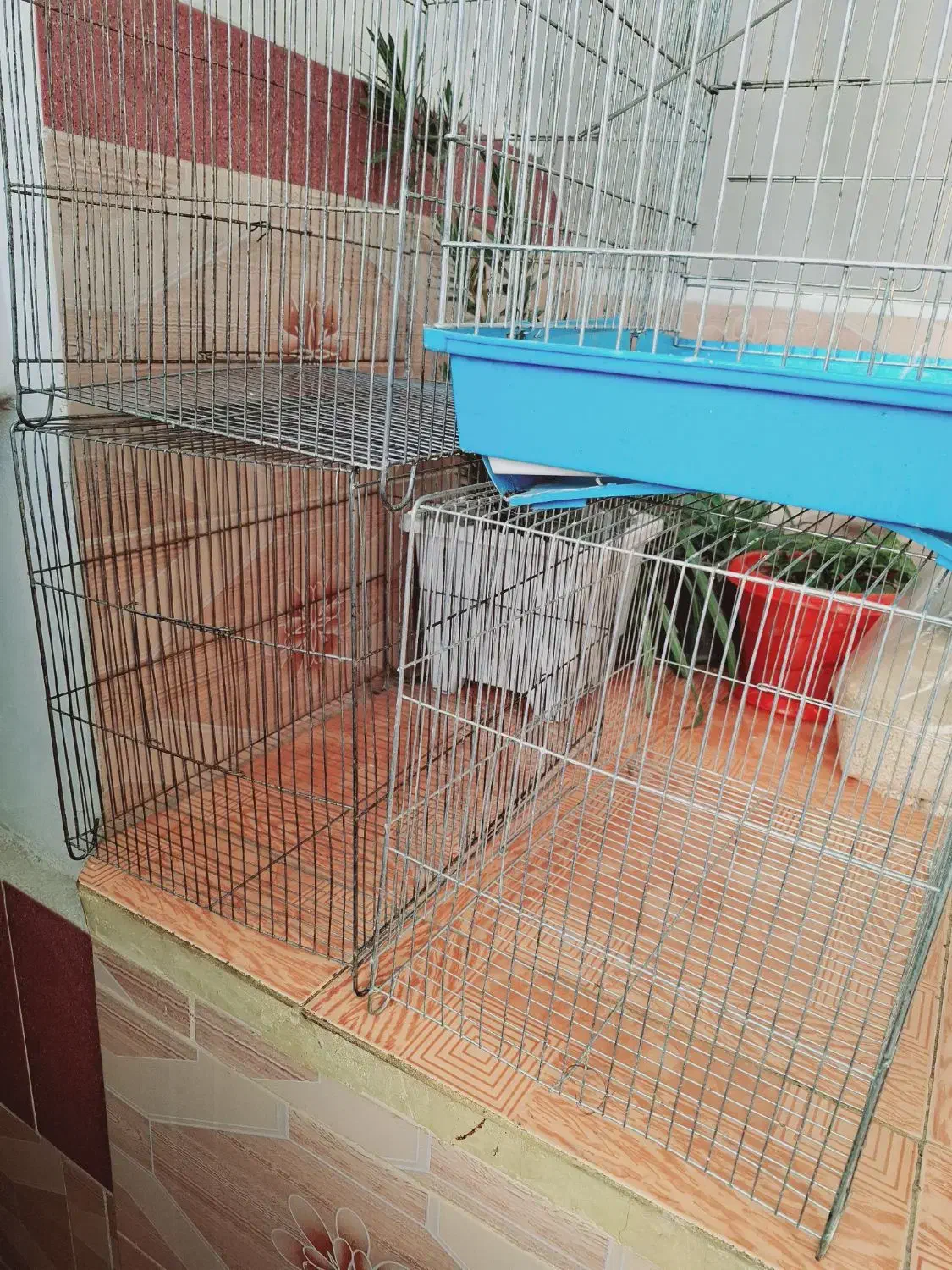 قفس|لوازم جانبی حیوانات|قروه, |دیوار