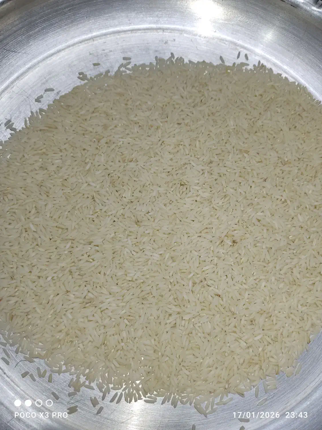 برنج|خوردنی و آشامیدنی|رشت, جانبازان|دیوار