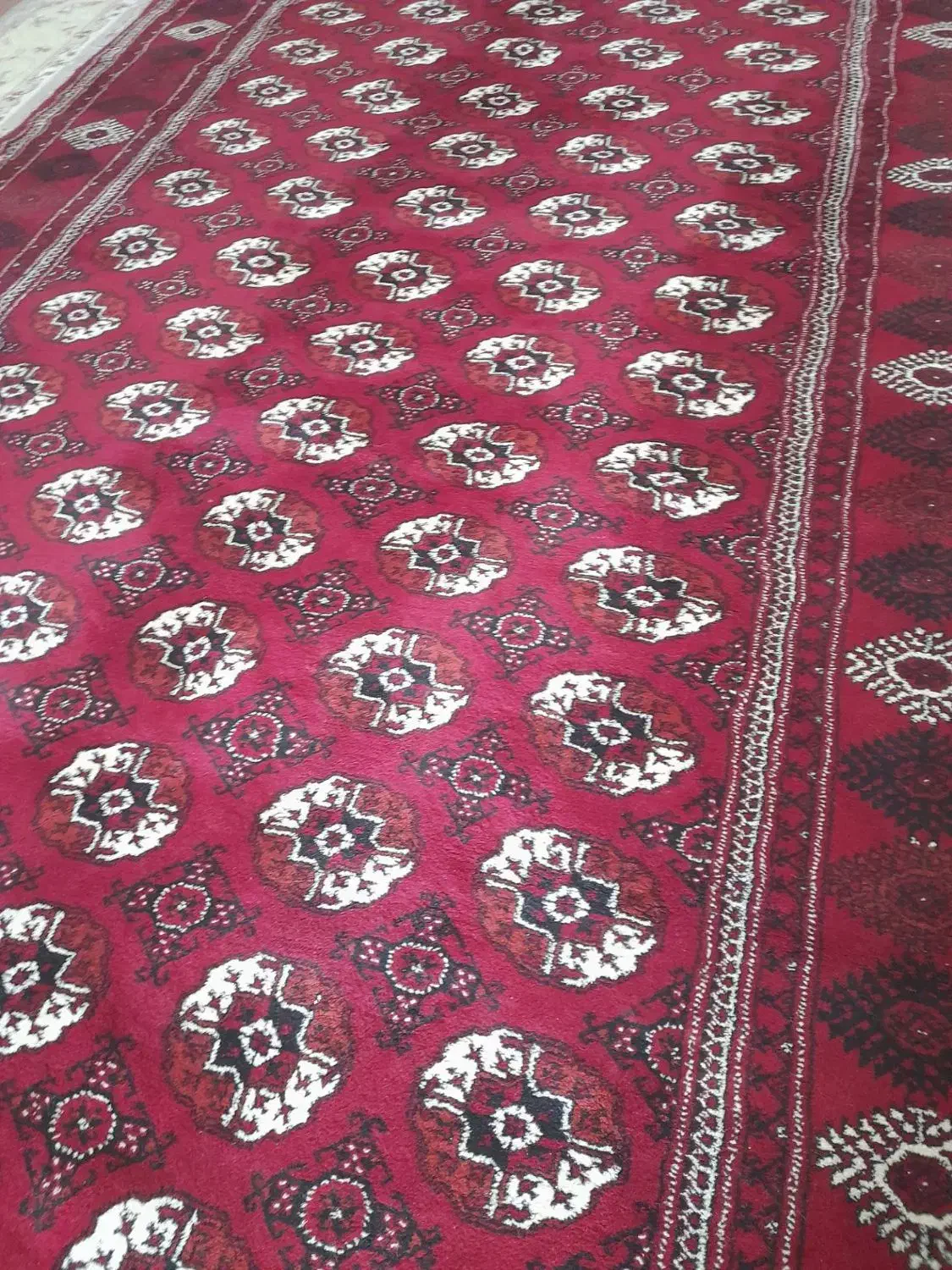 قالی نو ۹ متری|فرش|گنبد کاووس, |دیوار