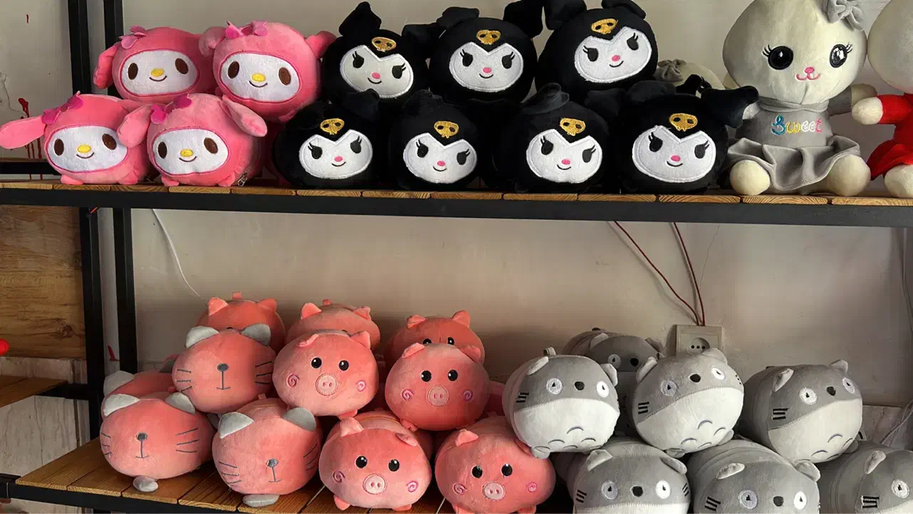 طراحی تولید پخش عروسک پارچه ایرانی و خارجی|اسباب‌‌بازی|شهریار, شهرک بهاران (ویره)|دیوار