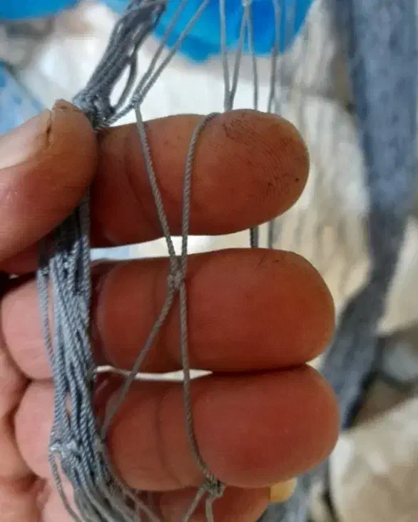 تور گنجه و پرون و خونه توری کفتر|پرنده|تهران, مینای جنوبی|دیوار