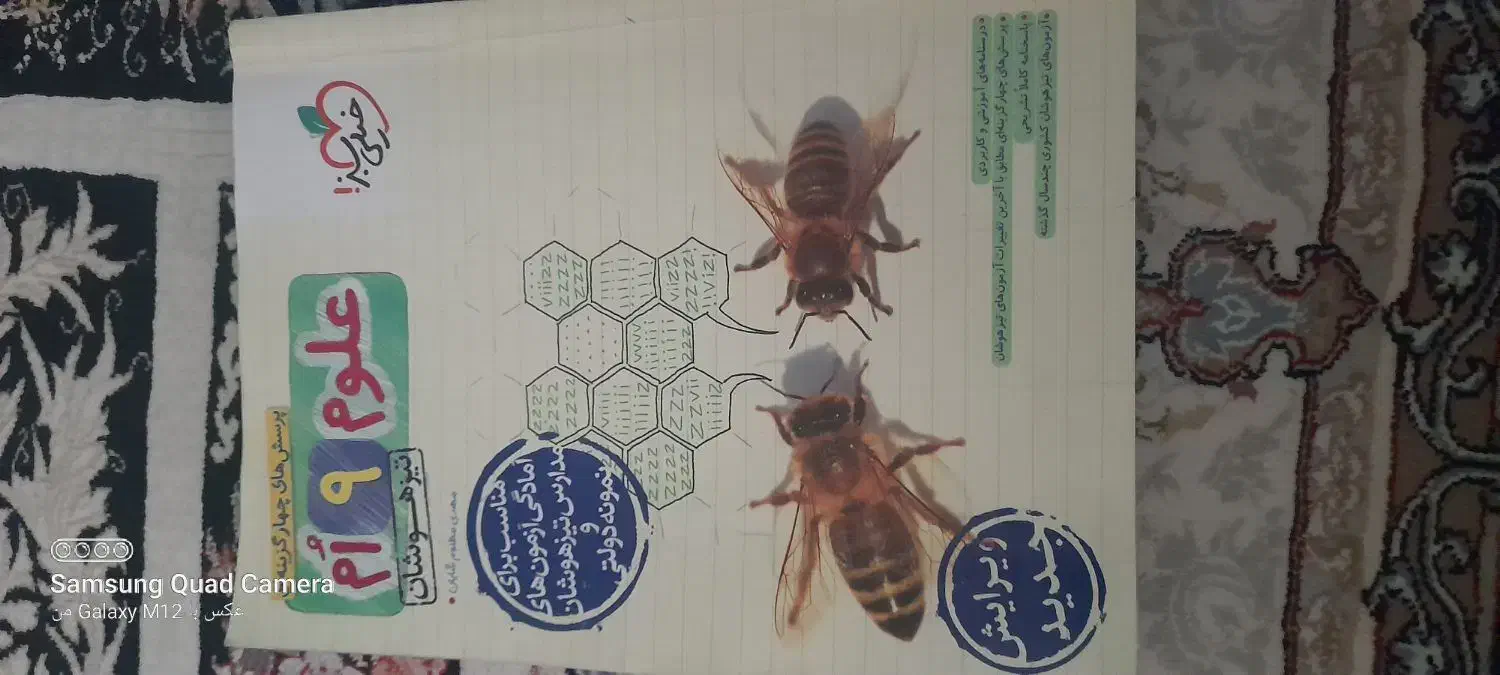 کتابهای  خیلی سبز نهم|کتاب و مجله آموزشی|باغستان, |دیوار