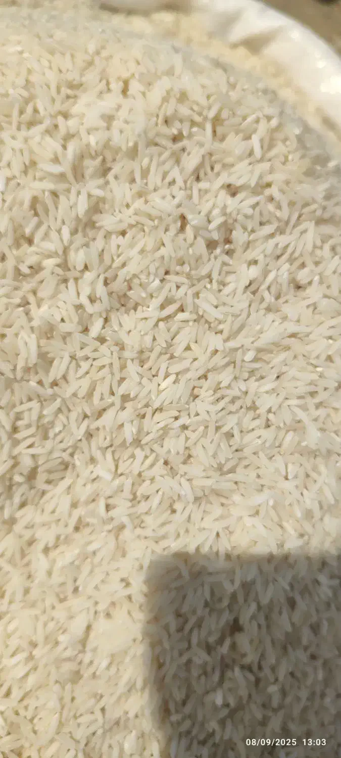 برنج هاشمی دره رود اصل به شرط|خوردنی و آشامیدنی|پارسآباد, |دیوار