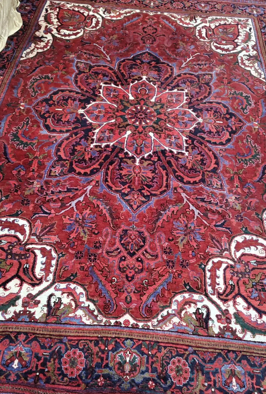 فرش دستبافت هریس|فرش|مراغه, |دیوار