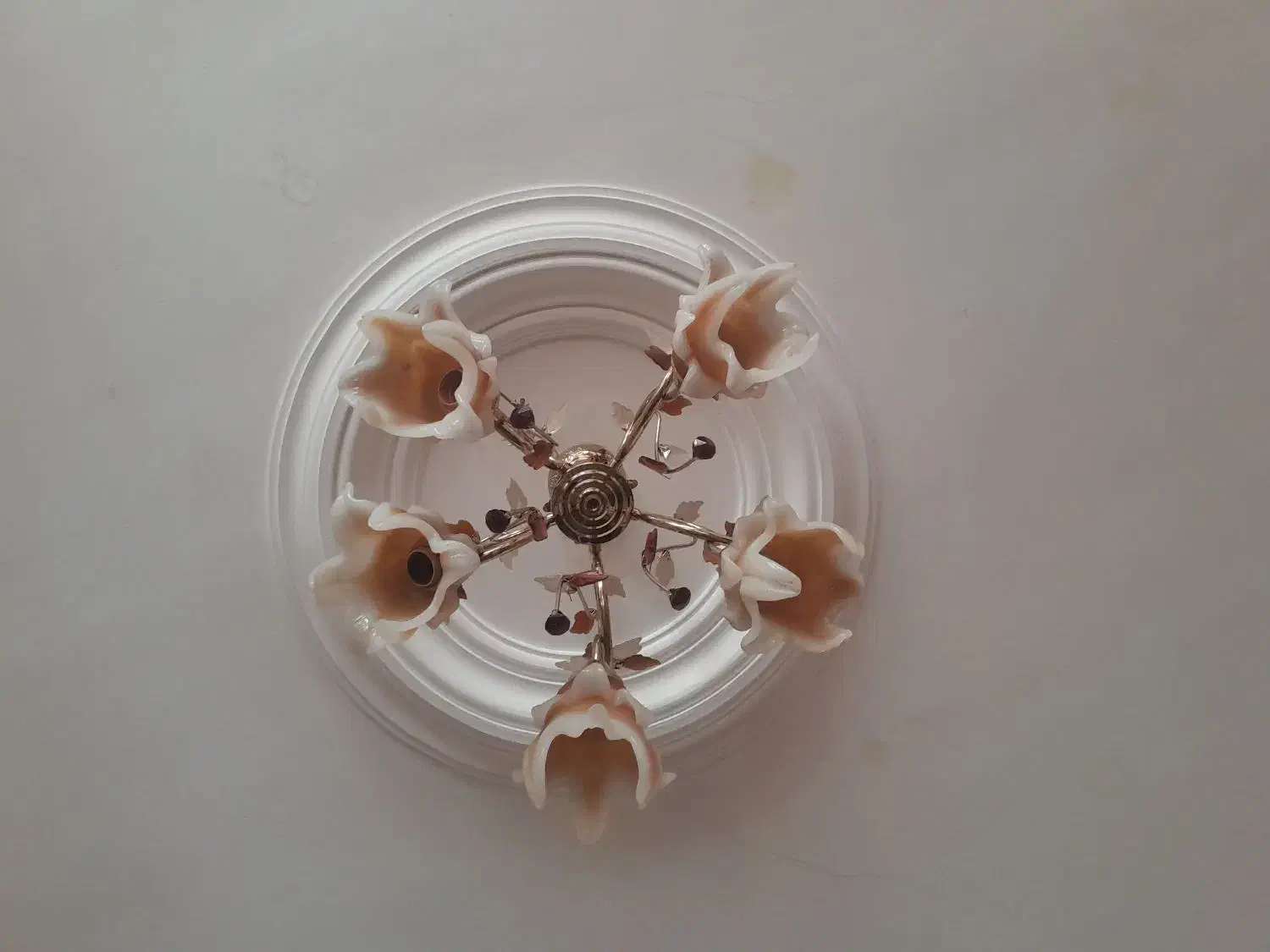 دو عدد لوستر|لوستر و چراغ آویز|ساوه, |دیوار