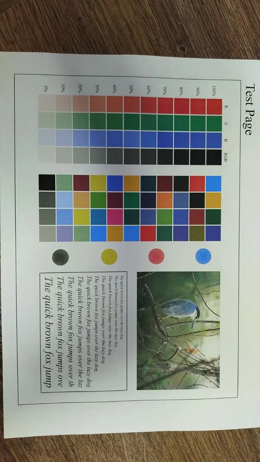 همکار خانم جهت کار در دفتر چاپ|استخدام بازاریابی و فروش|فردیس, فردیس|دیوار